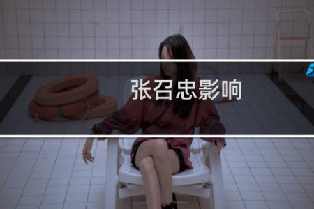 张召忠影响