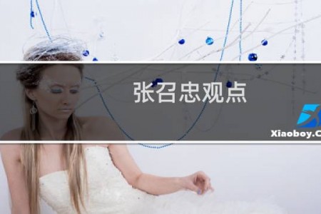 张召忠观点